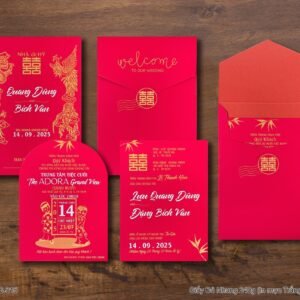 Thiệp cưới - In Nhanh KTS DQ-BTD102-315